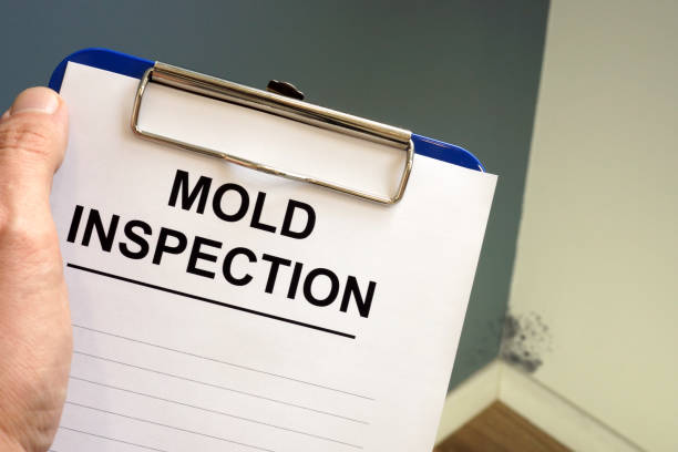 Best Forensic Mold Investigation  in Pine Manor, FL